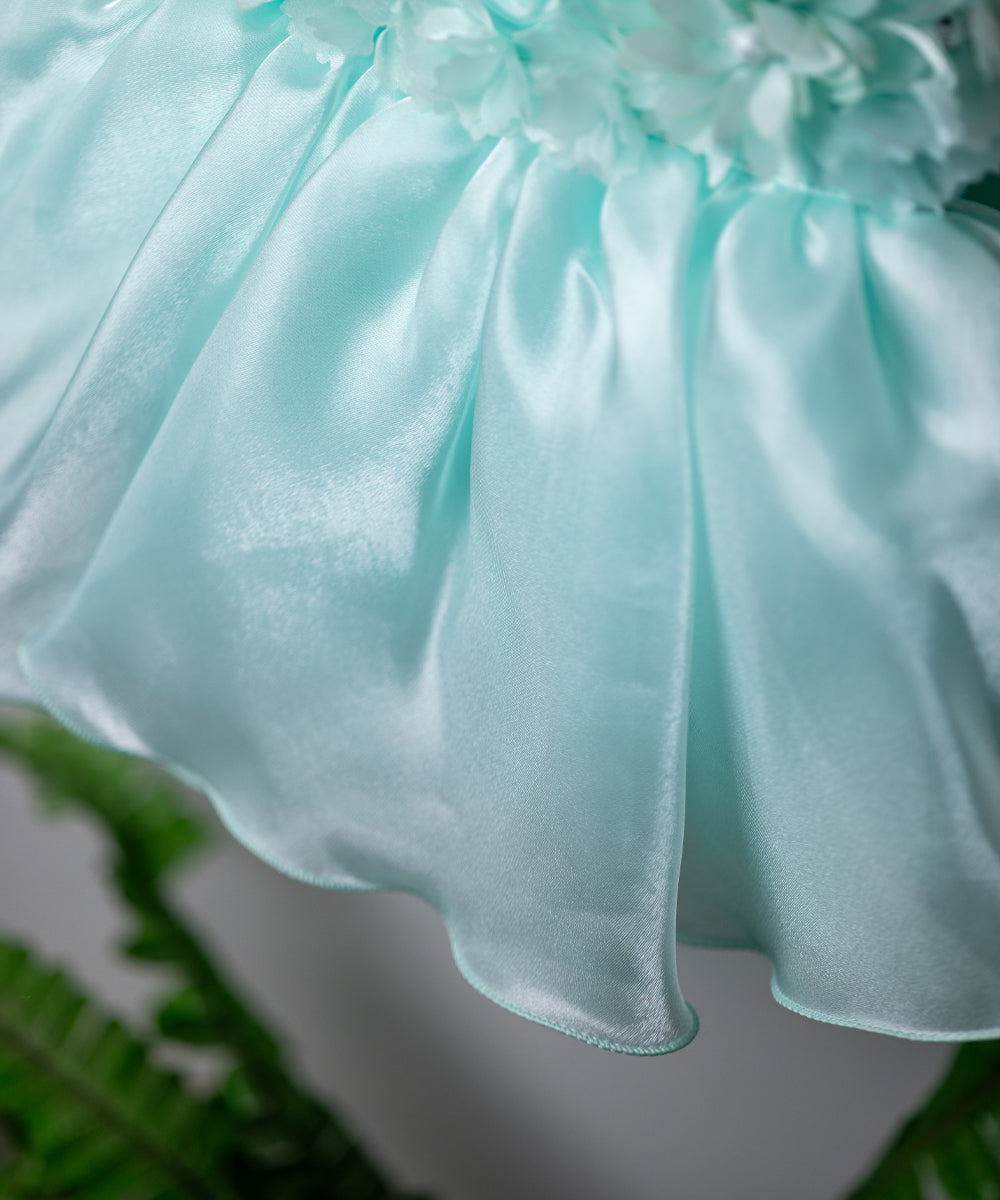 Baby Girl's Aqua Blue Floral Party Dress